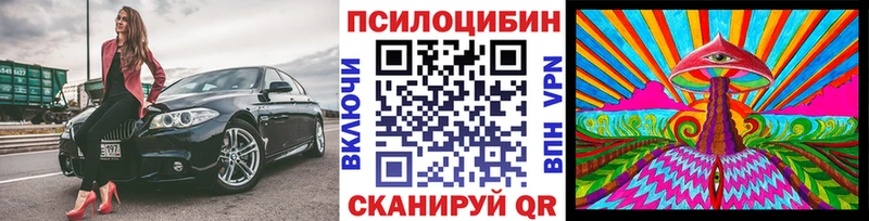 Псилоцибиновые грибы мицелий наркотики OMG маркетплейс Большой Камень